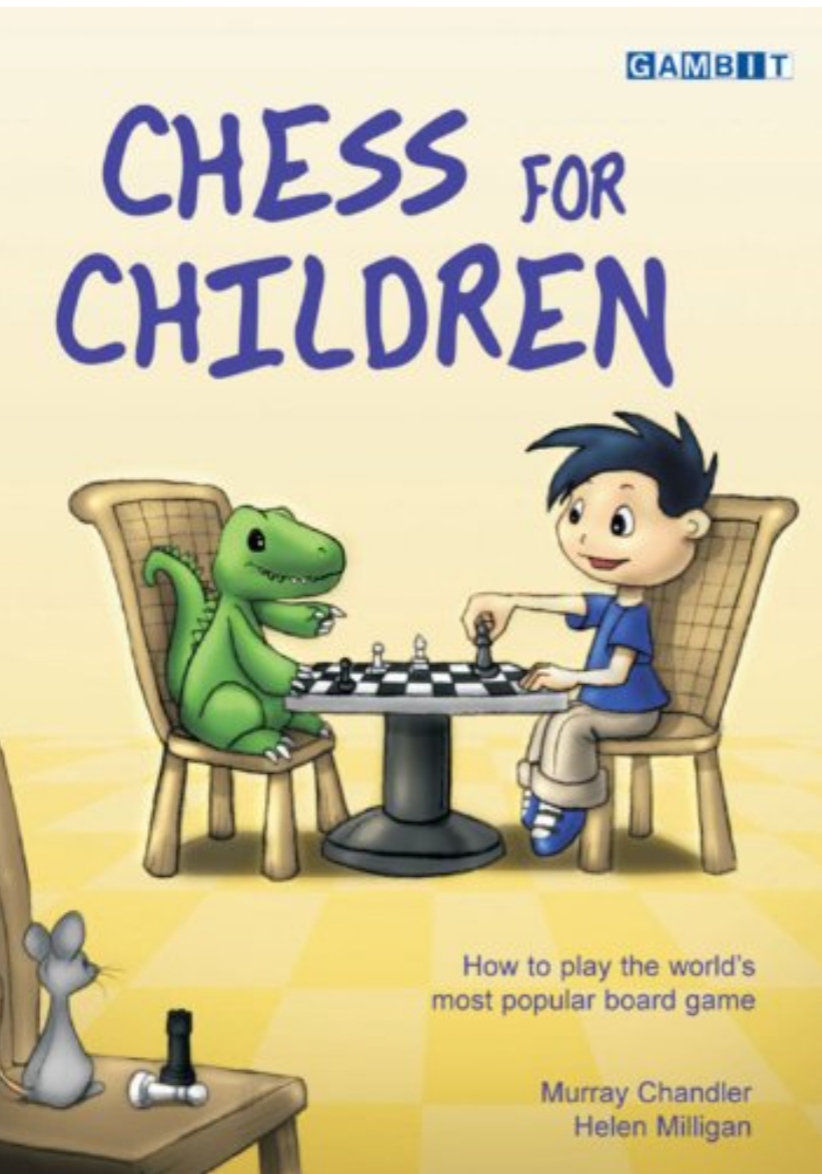 10 Excellent Children's Books About Chess for Kids in 2023  Writing lesson  plans, Chess for children, Best children books