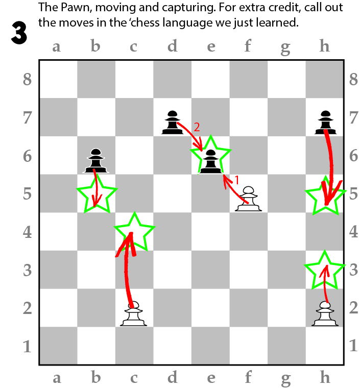 Pawn Movement and Capture 