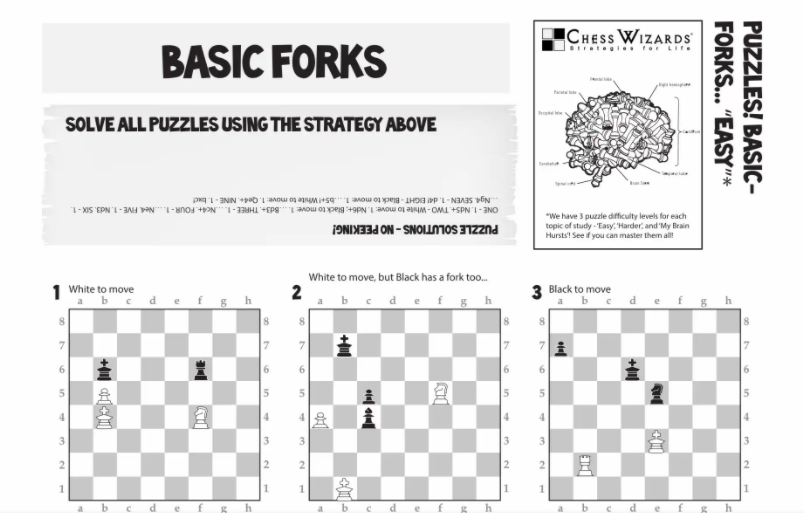 Chess Puzzles Worksheets